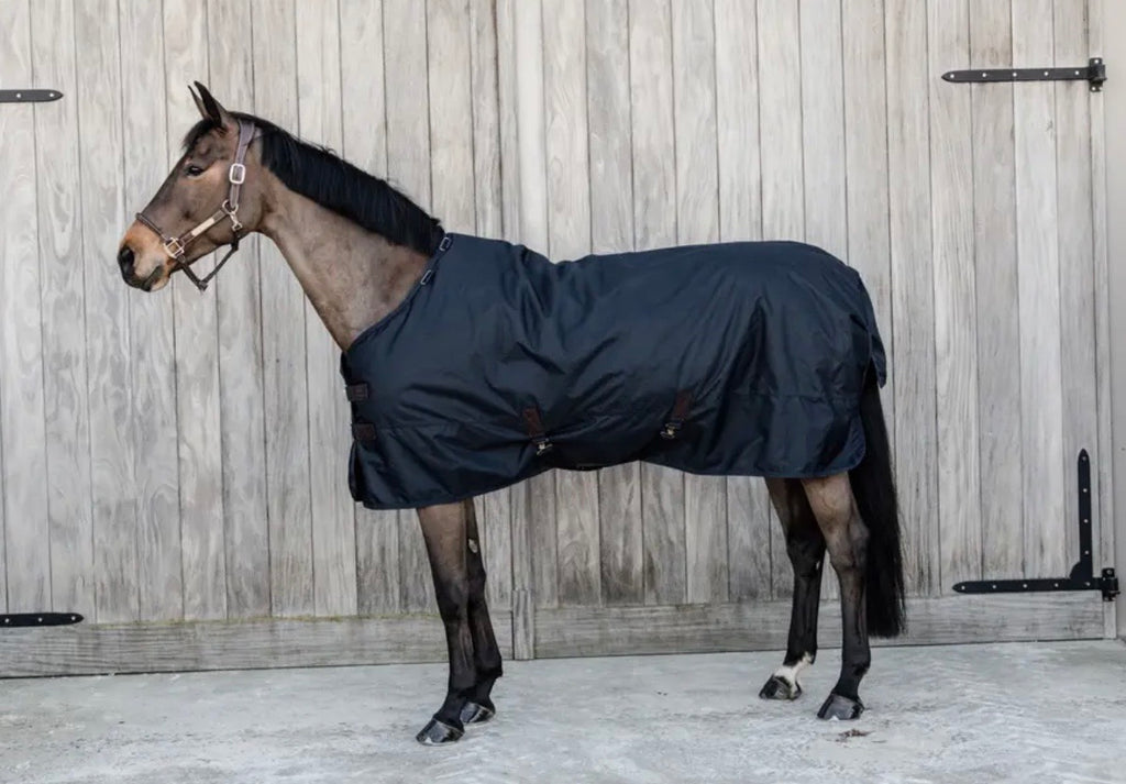 How to measure your horse for a blanket or sheet