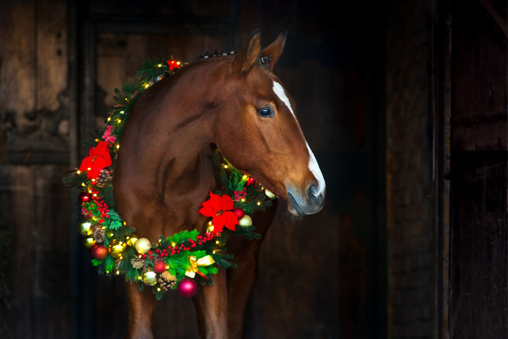 Our Favorite Equestrian Holiday Shopping Sites