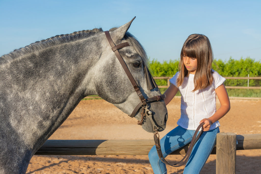 therapeutic horse and girl
