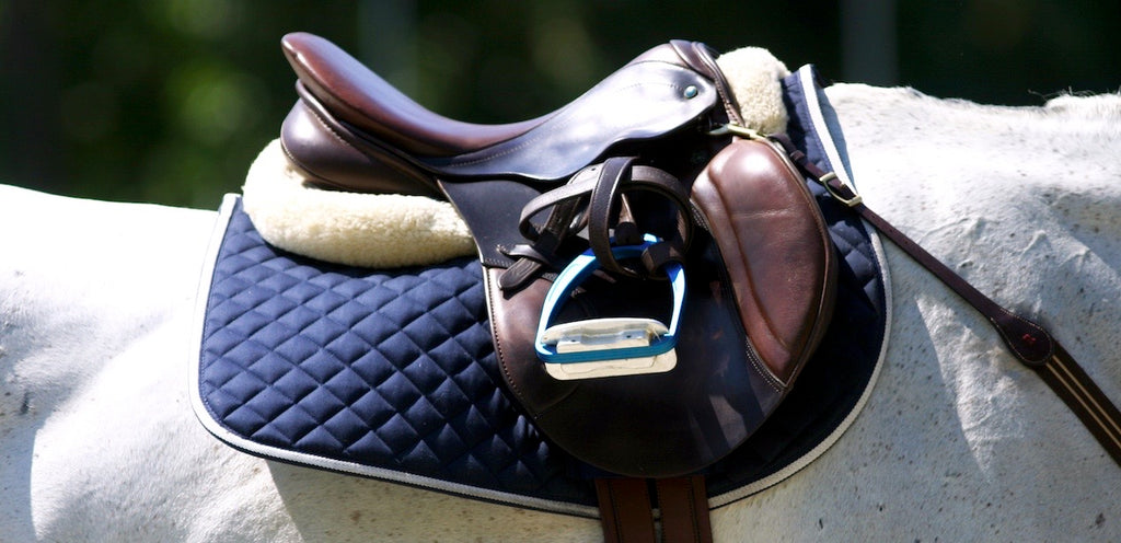 english saddle and saddle pad