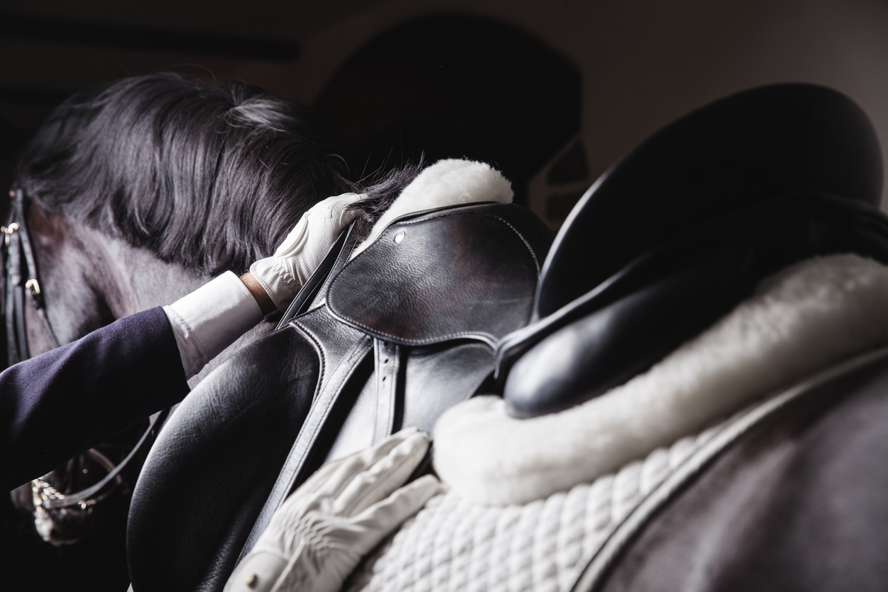 dressage saddle and pad