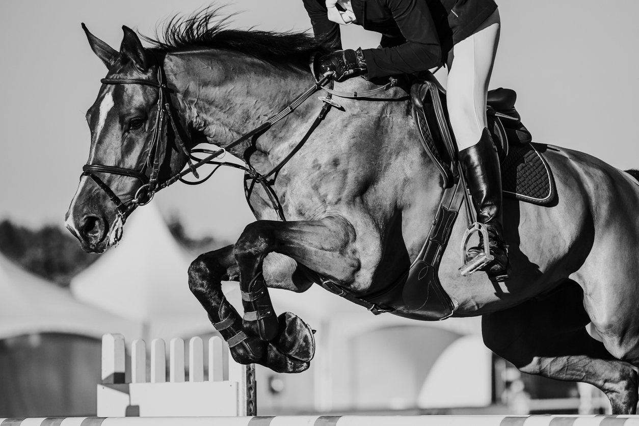 woman equestrian jumping horse