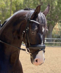 Halter Ego The Brixton Snaffle Bridle With Reins - Black Leather Anatomical Snaffle Bridle / Full Size