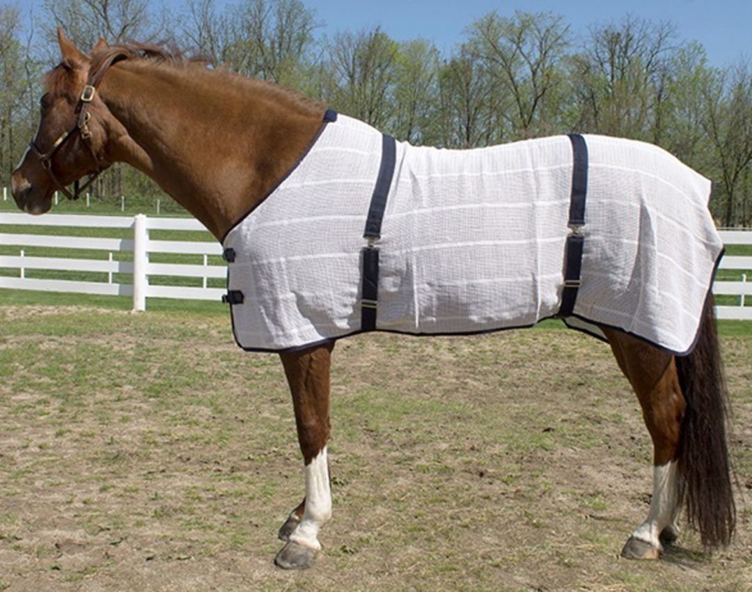 Jack's Irish Knit Anti-Sweat Cooler - Size 82"