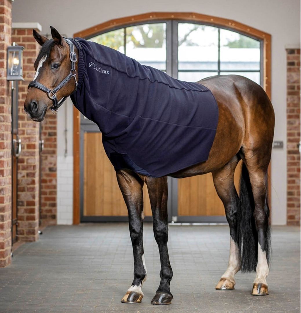 LeMieux Arika Fleece Hood - Navy Blue / Size Large  NEW