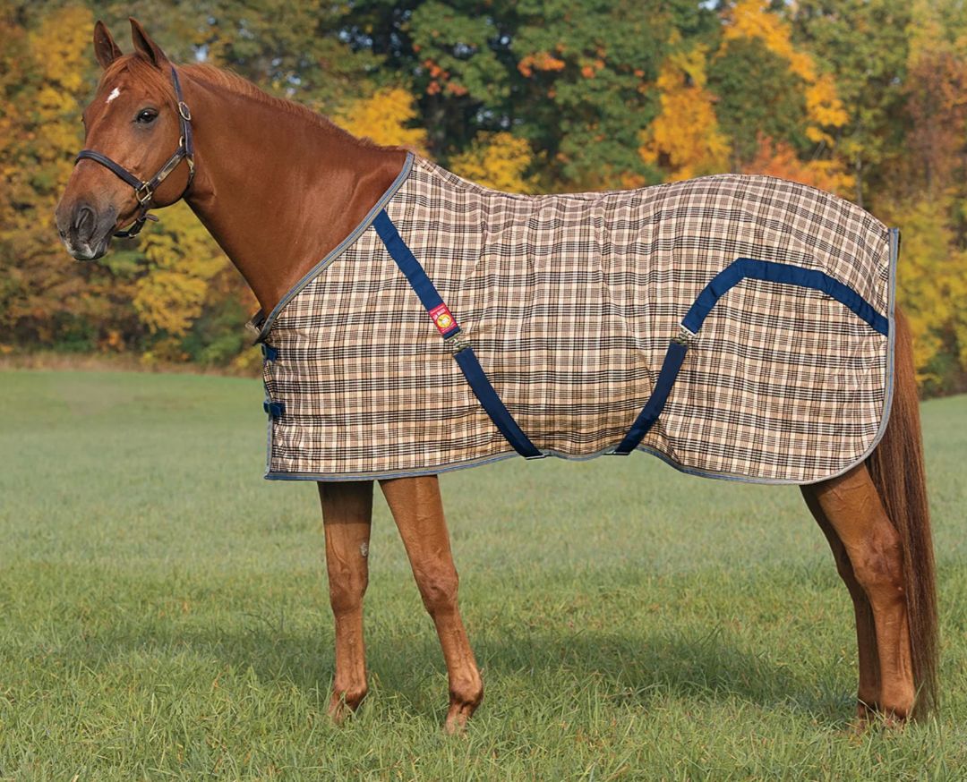 Baker 5/A Stable Sheet - Baker Plaid / Size 66"  NEW