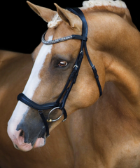 Lumiere Mila Anatomic Leather Bridle - Black / Horse Size  NEW