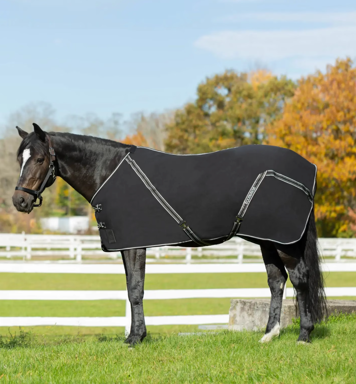 Equinavia Fryd Cotton Stable Sheet - Black / Size 80"   NEW