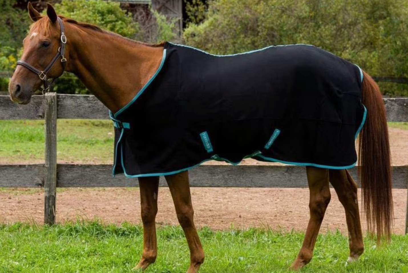 TuffRider Fleece Horse Cooler / Sheet Black - Size 72"