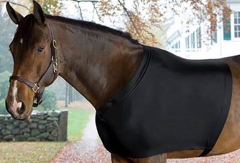Centaur Spandex Shoulder Guard - Medium / Black NEW