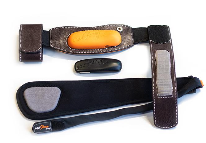 EQUISENSE Motion  S - Brown
