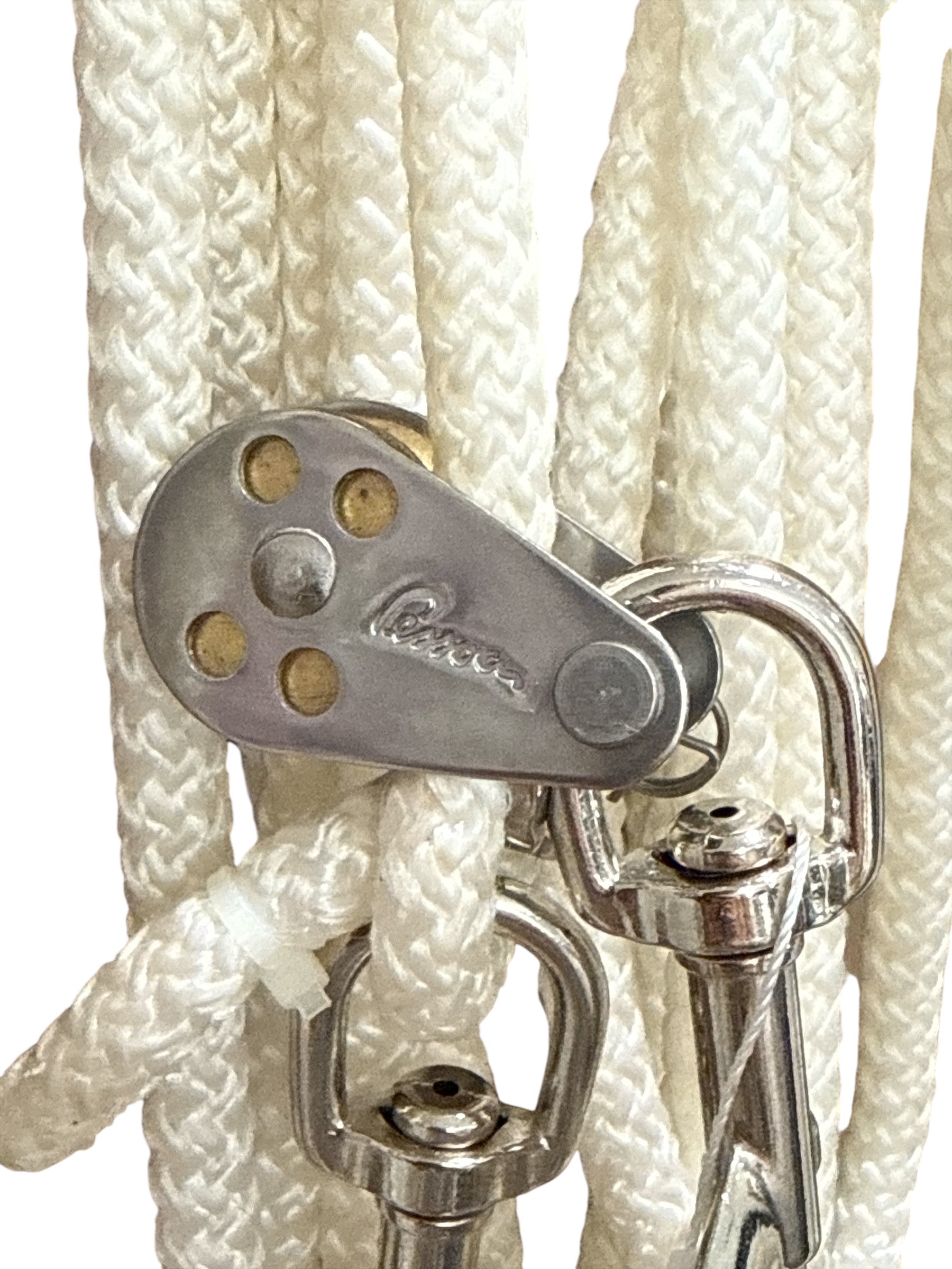 Pessoa Lunging System