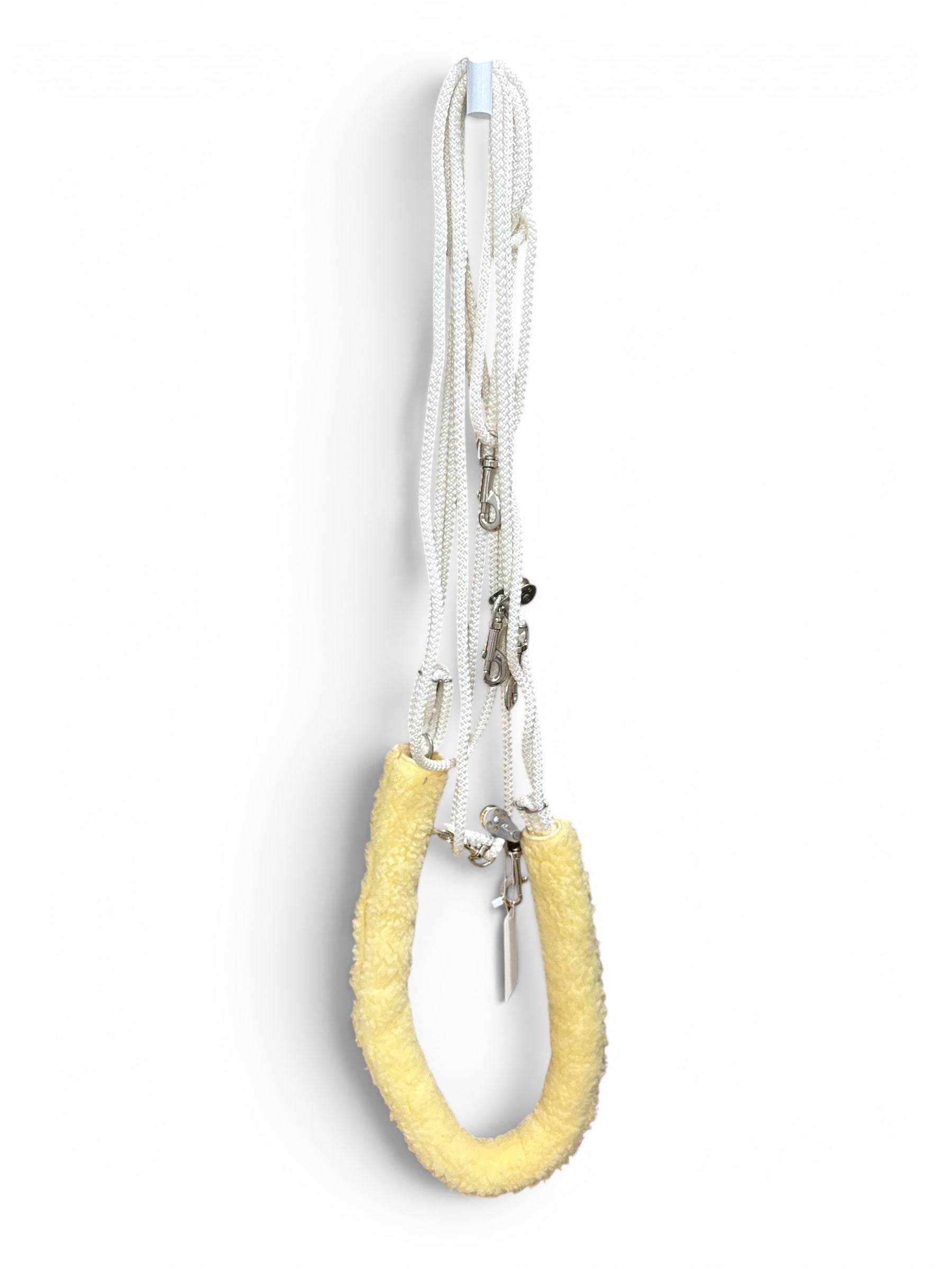 Pessoa Lunging System