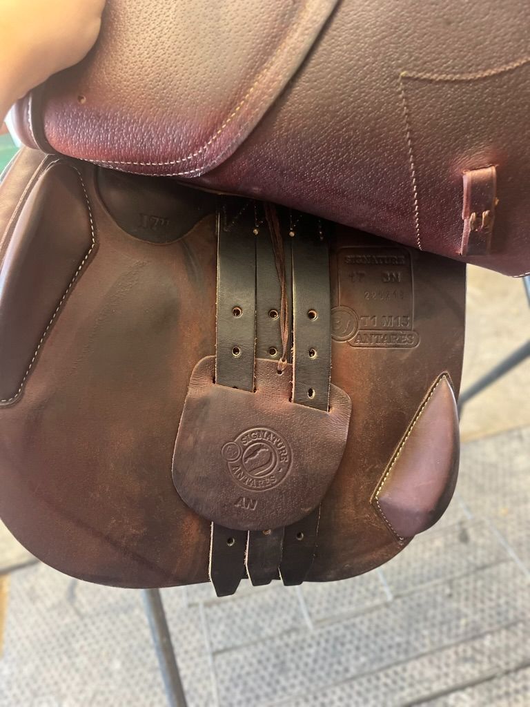 Antares Signature Jumping Saddle 17" 2022 3N