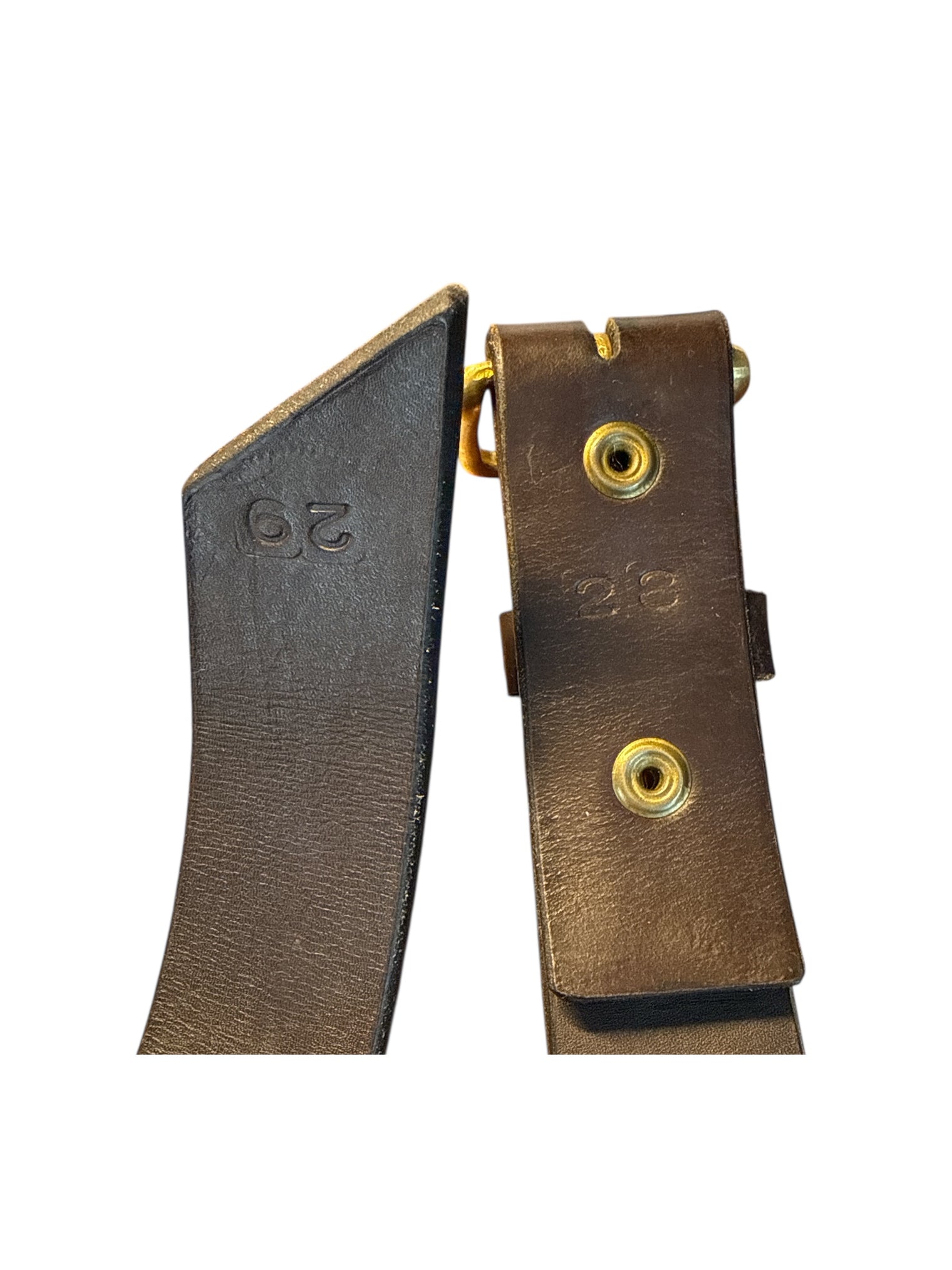 TKC Arani Dots Belt, Wide Width Size 29