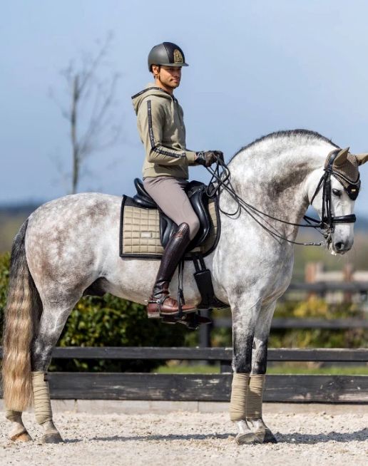 Equestrian Stockholm Dressage Saddle Pad Performance Chantelle (Mushroom), Cob NEW