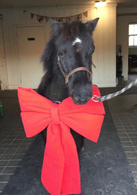 Hand Painted Limited Edition "Harrison Ford Tribute" Christmas Ornament by Lalee Pop Art