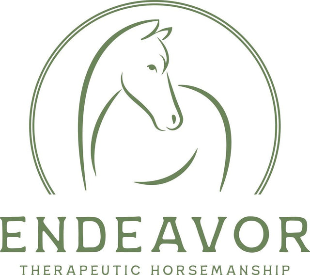 Barnstable Children's Split Leather Schooling Chaps Brown Size 8 Childrens NEW