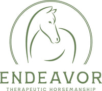 Hand Painted Limited Edition "Harrison Ford Tribute" Christmas Ornament by Lalee Pop Art