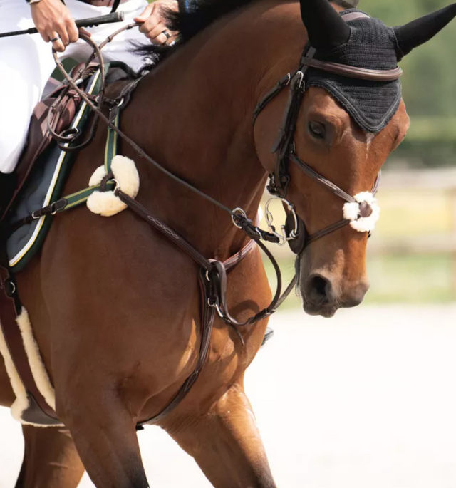 Brown horse with a bridle and blinders, wearing a saddle, in an outdoor setting.