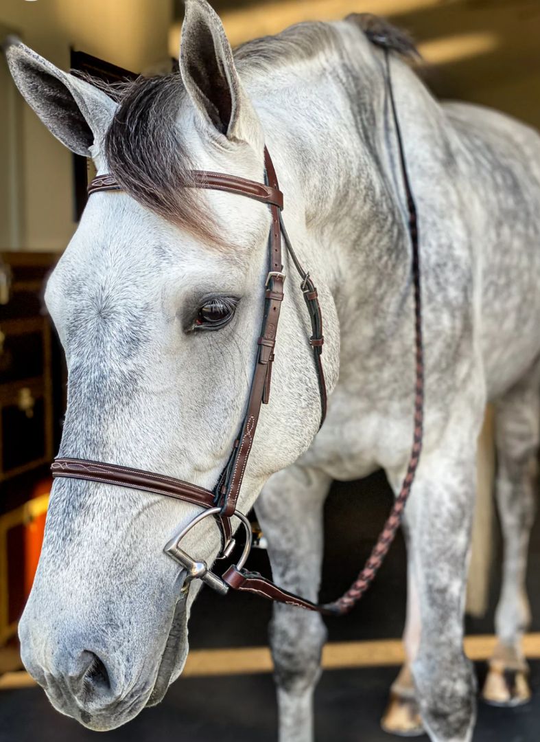 Beval Heritage Fancy Stitch Bridle & Raised Fancy Stitch Laced Reins- Pony