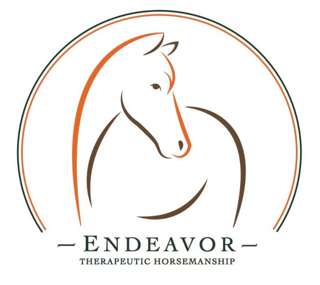 Beval Fancy Stitched Raised Laced Rein 5/8 - Dark Brown -Horse