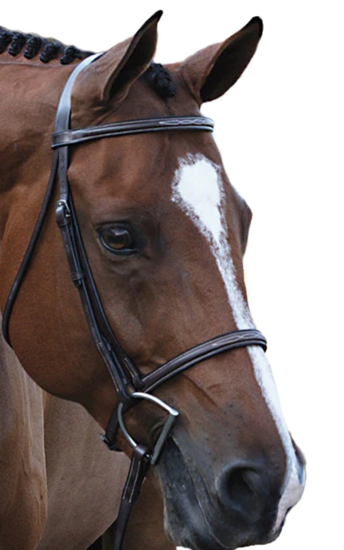 Beval Gladstone Fancy Stitch Bridle - Horse