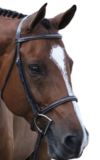 Beval Gladstone Fancy Stitch Bridle - Horse