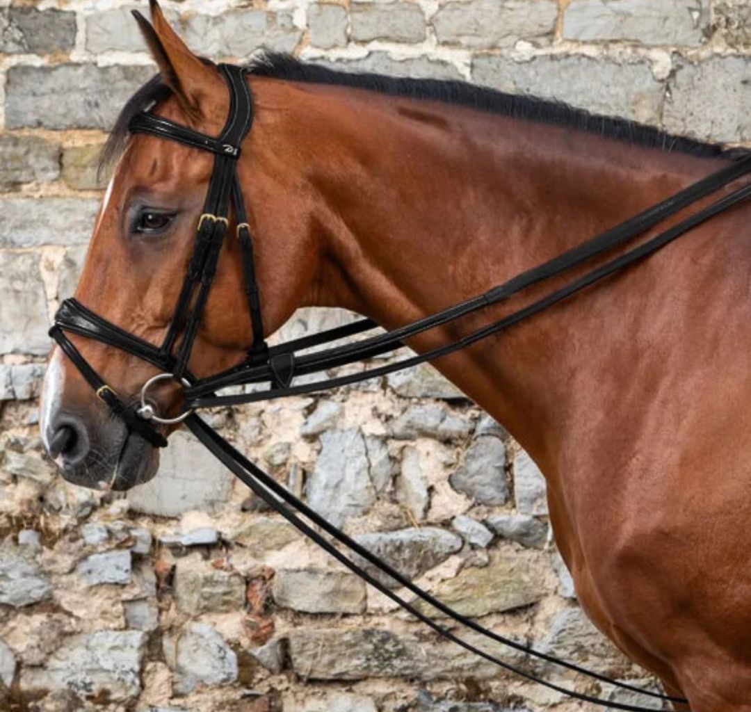 Dy’on D Collection 5/8" Leather/Nylon Draw Reins, Black Full Size Brand New