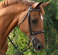 Red Barn Icon Hunter Bridle - Size Full / Horse (no reins)