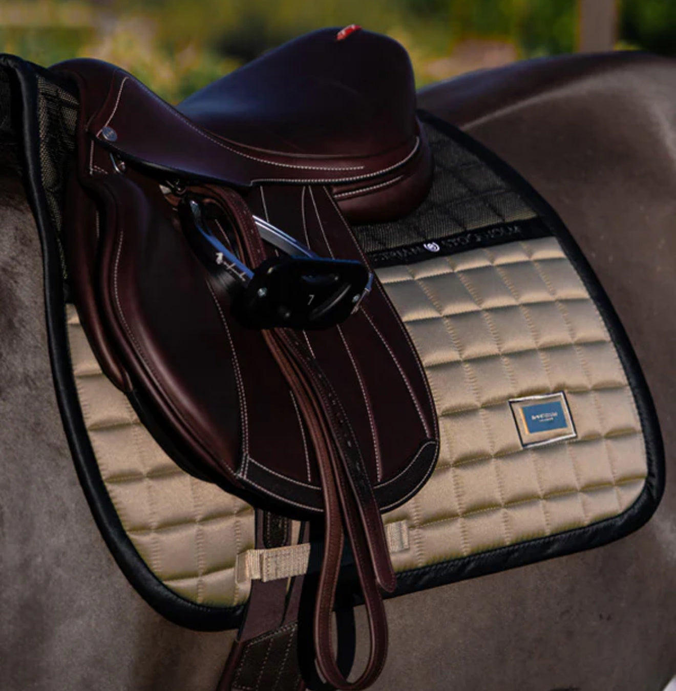 Equestrian Stockholm Jump Saddle Pad - Sportive Chantell / Size Full