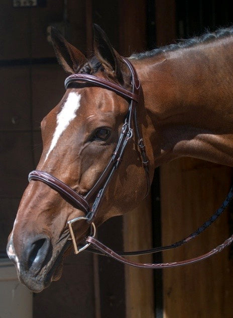 Nunn Finer Florence Bridle and Reins Brand New - Havana, Cob Size