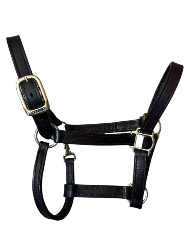 Perri's Leather 1" Turnout Halter - Havana Brown/ Cob Size