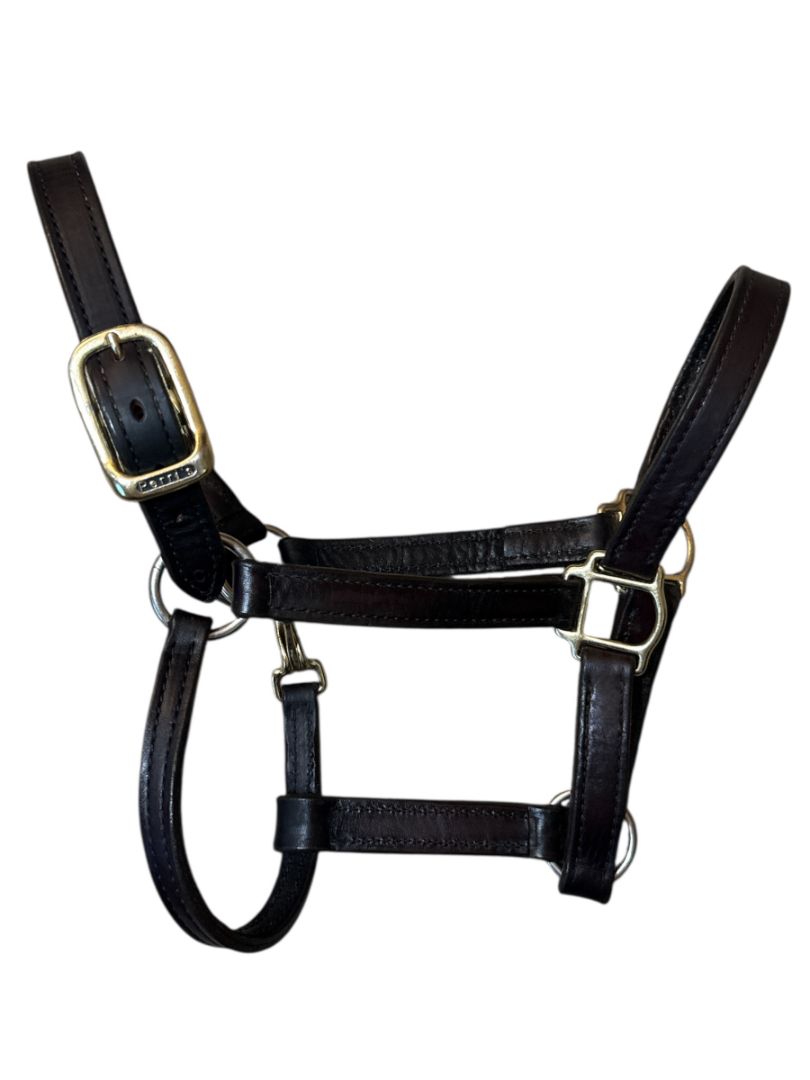 Perri's Leather 1" Turnout Halter - Havana Brown/ Cob Size