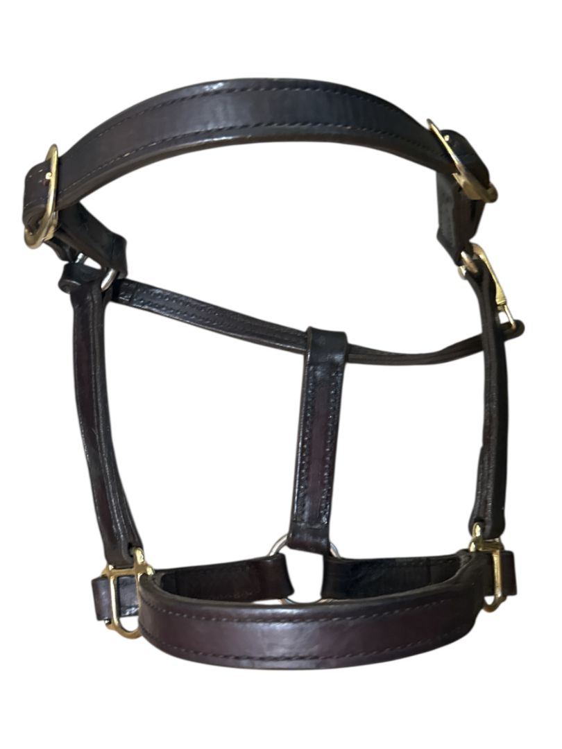 Perri's Leather 1" Turnout Halter - Havana Brown/ Cob Size