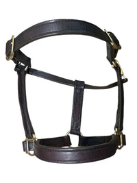 Perri's Leather 1" Turnout Halter - Havana Brown/ Cob Size