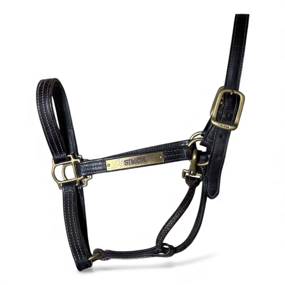 Black leather horse halter with gold hardware on a white background