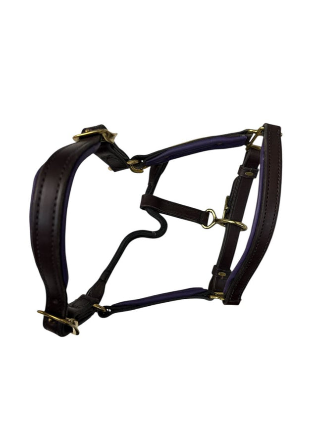 Perri's Padded Leather Halter - Purple / Havana Pony Size  NEW