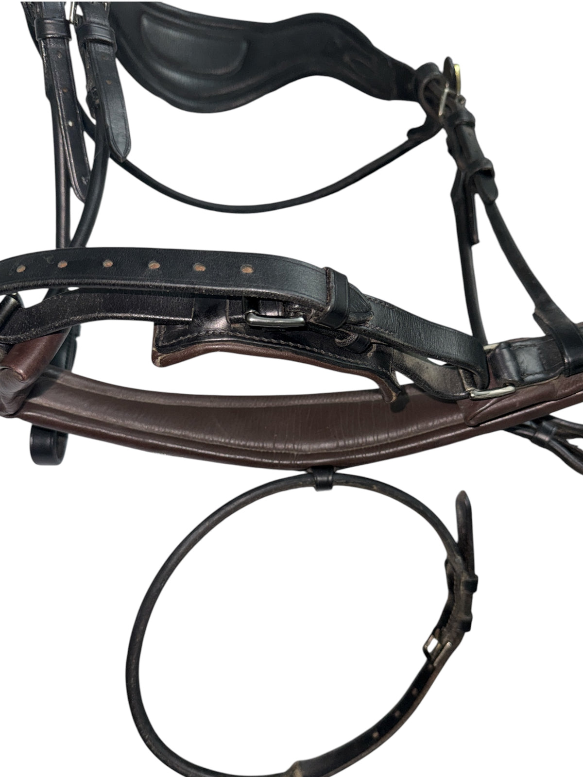 PS of Sweden GP Dressage Bridle - Black Shiny Croco / Size Cob