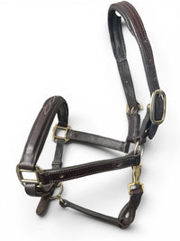 Ovation Fancy Raised Padded Halter - Brown / Cob