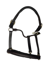 Ovation Fancy Raised Padded Halter - Brown / Cob