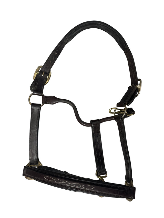 Ovation Fancy Raised Padded Halter - Brown / Cob