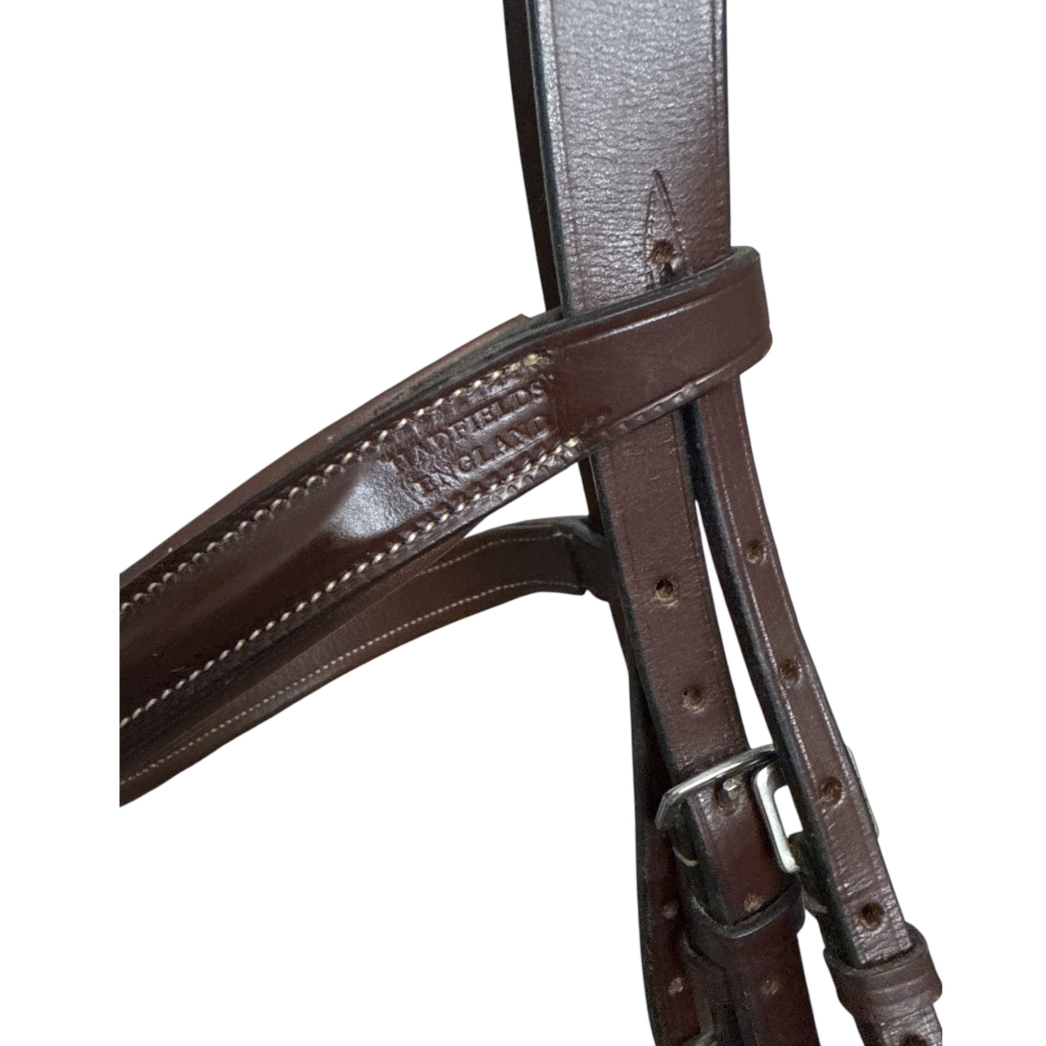 Hadfield's Saddlery Raised Padded Plain Hunter Bridle - Over Size
