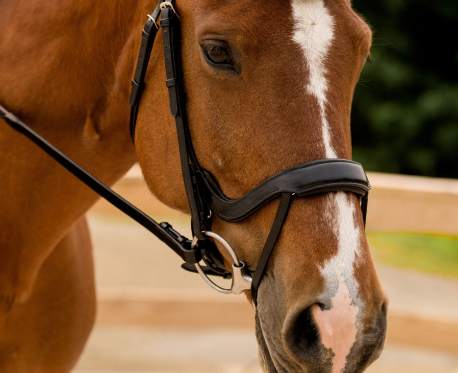 Red Barn by KL Select Arena Ergonomic Snaffle Bridle Crystal Browband - Black / Full Size
