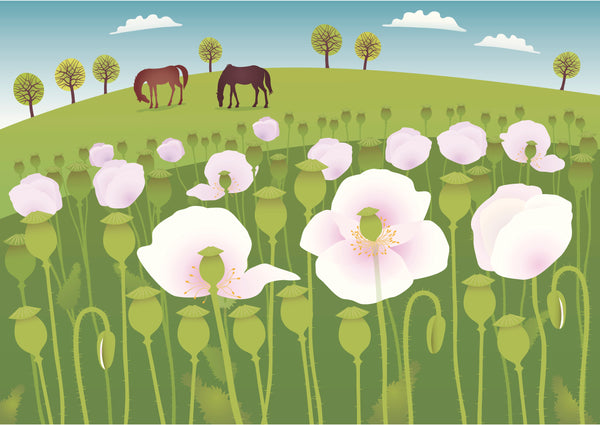 Tack and Tweed Spring Summer 2020 Equestrian Apparel and Accessories