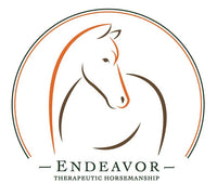 Hippique AP Red Pony Pad - New With Tags