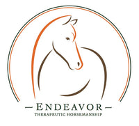 Nunn Finer Gianna Bridle Crown - Brown / Cob Size  NEW