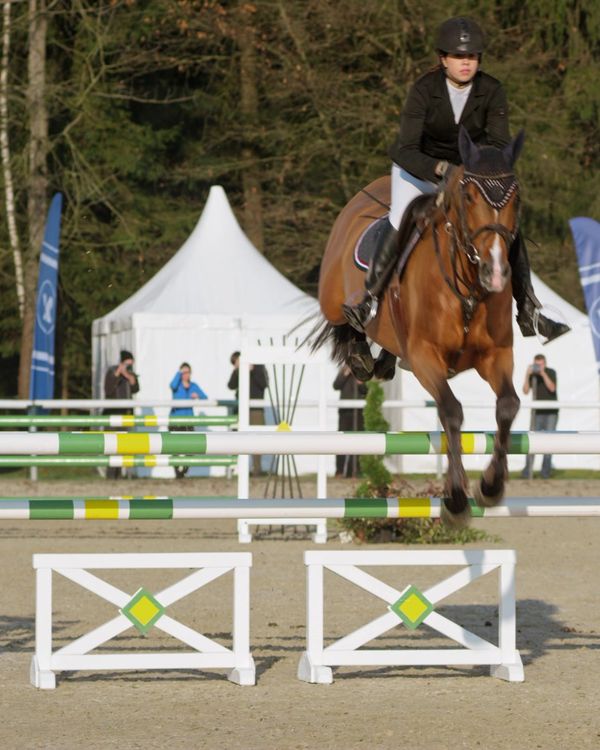 A rider in a dark show coat and helmet clears an oxer on a bay horse in a sunny show ring.