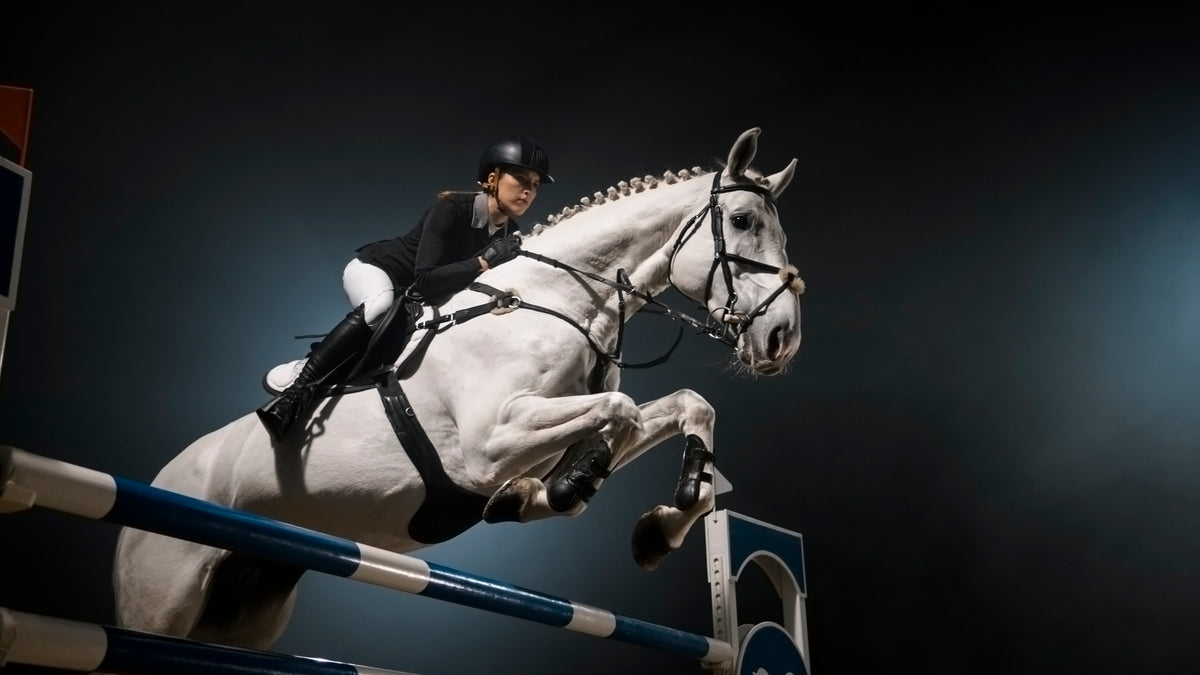 Show jumper in a black coat and helmet clearing a blue-and-white rail on a grey horse.